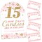 Big Dot of Happiness Mis Quince Anos - How Many Candies Quinceanera Sweet 15 Birthday Party Game - 1 Stand and 40 Cards - Candy Guessing Game